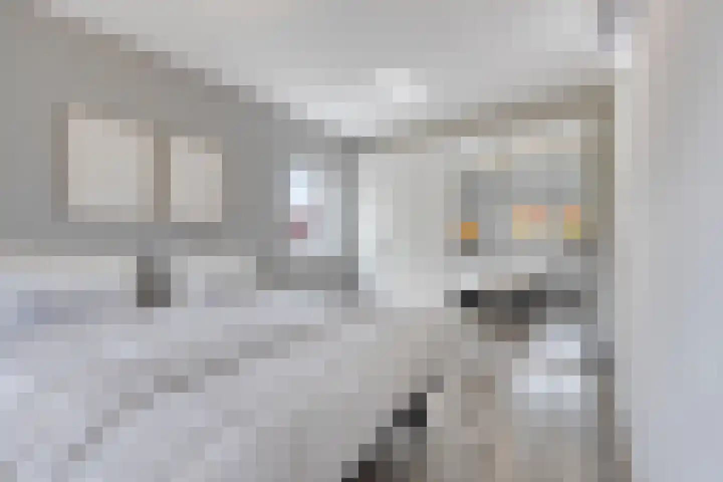 Inlaagdijk 112 Zwaag thumbnail 38