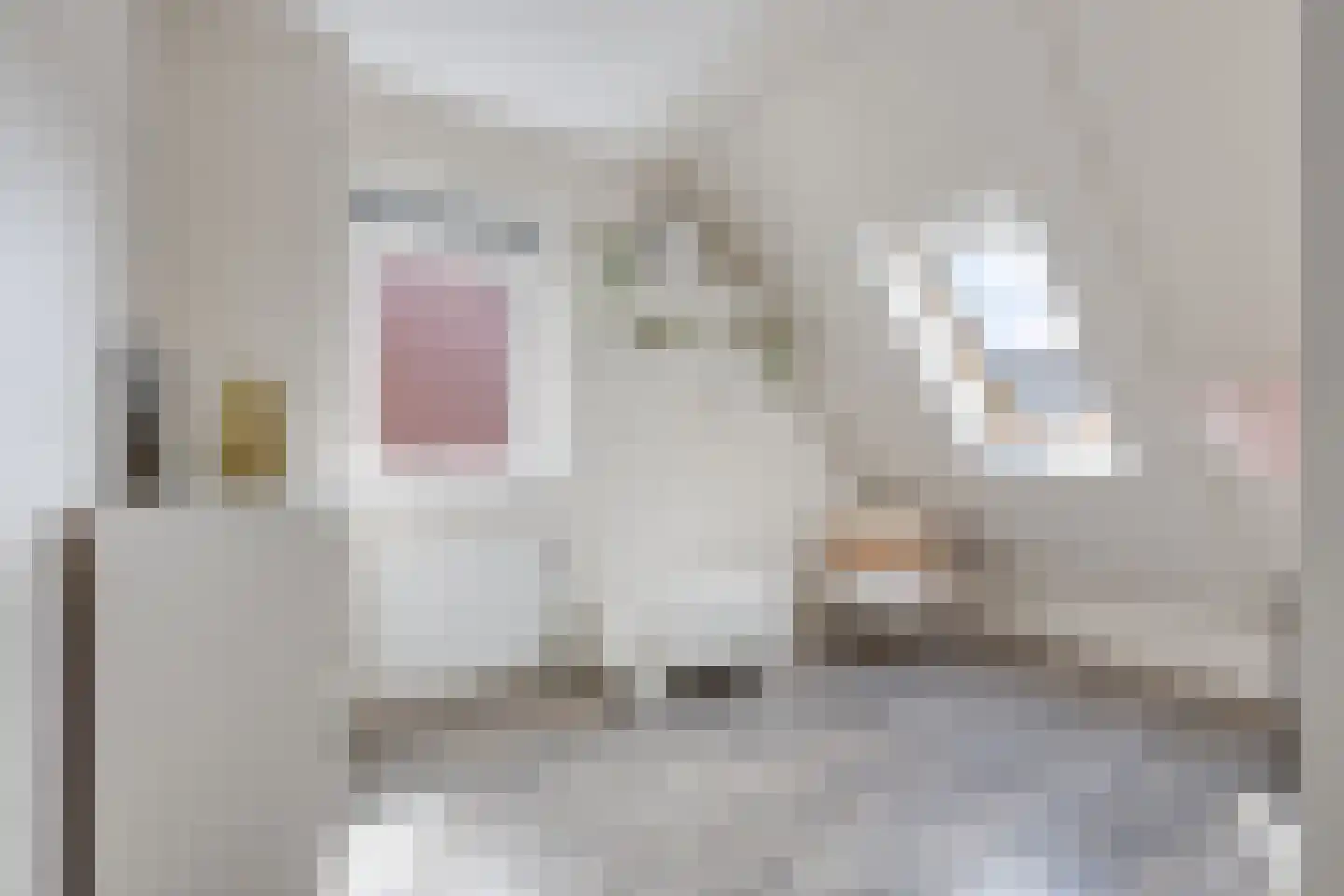 Inlaagdijk 112 Zwaag thumbnail 41