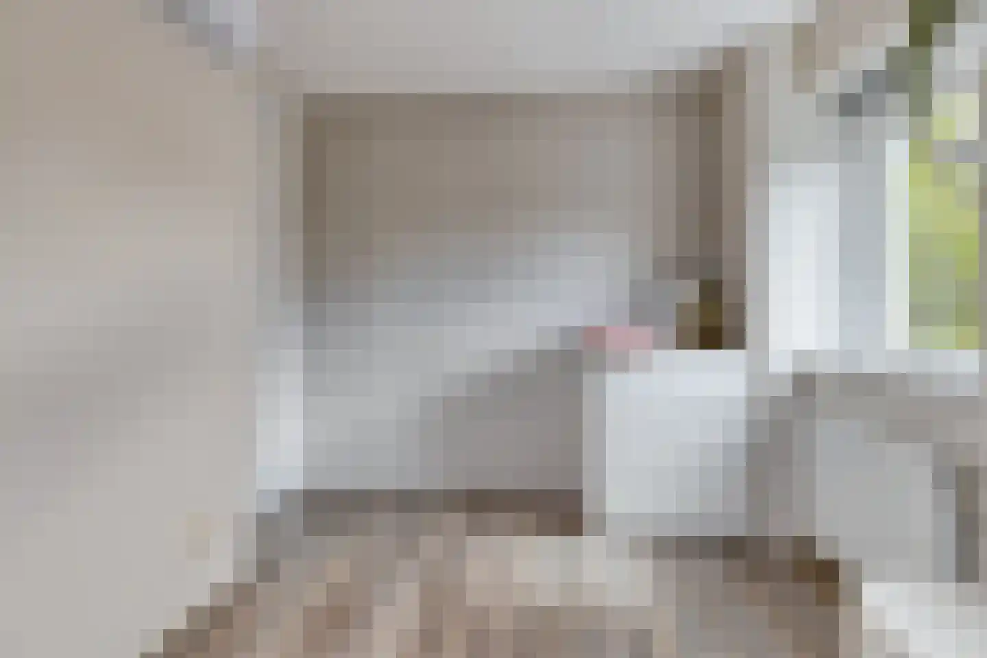 Inlaagdijk 112 Zwaag thumbnail 43