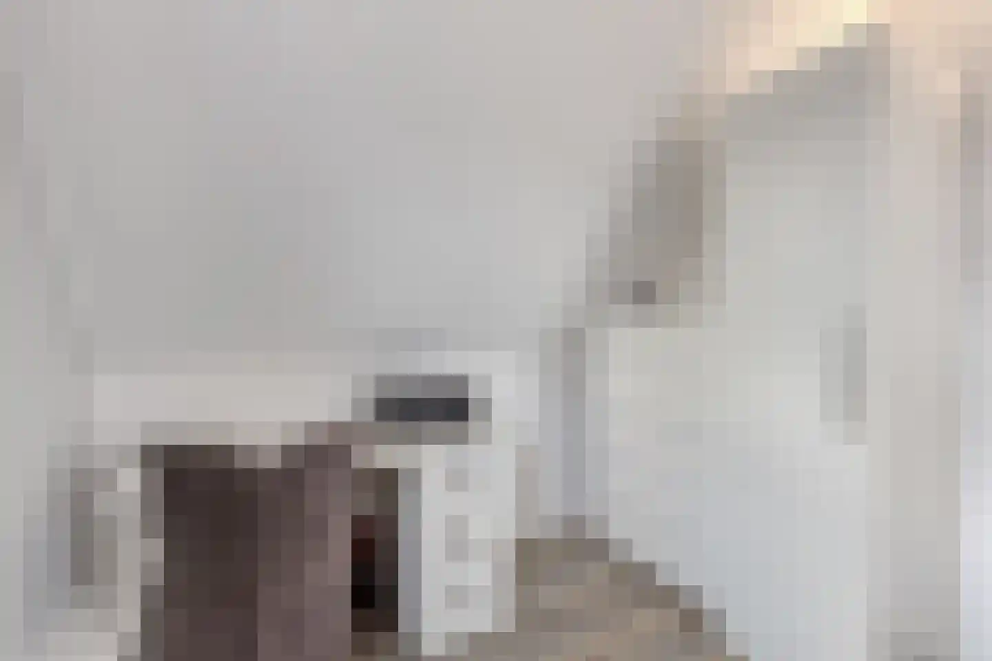 Inlaagdijk 112 Zwaag thumbnail 50