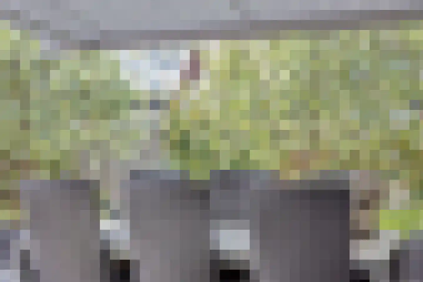 Inlaagdijk 112 Zwaag thumbnail 52