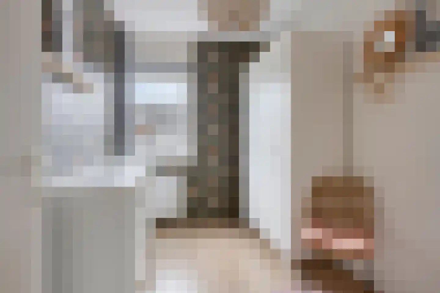 Inlaagdijk 114 Zwaag thumbnail 22