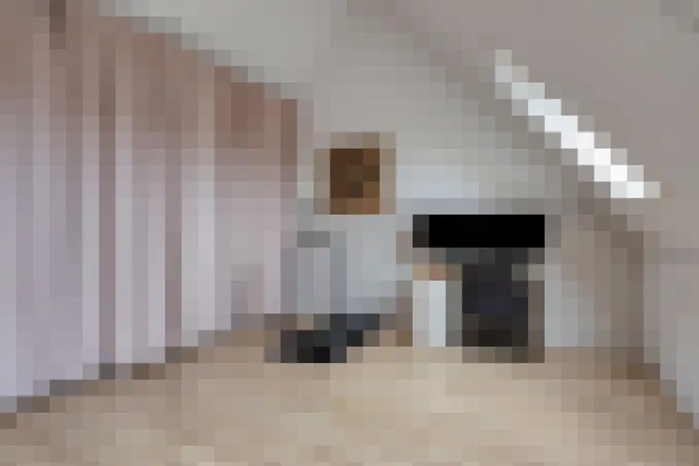Inlaagdijk 114 Zwaag thumbnail 23