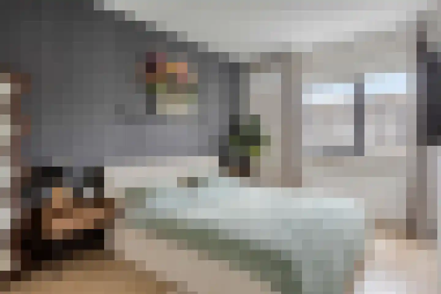 Inlaagdijk 114 Zwaag thumbnail 4