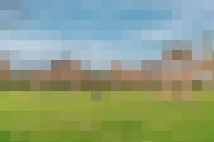 Inlaagdijk 139 Zwaag thumbnail 12