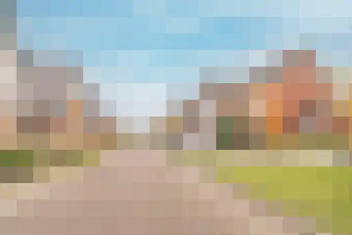 Inlaagdijk 139 Zwaag thumbnail 13