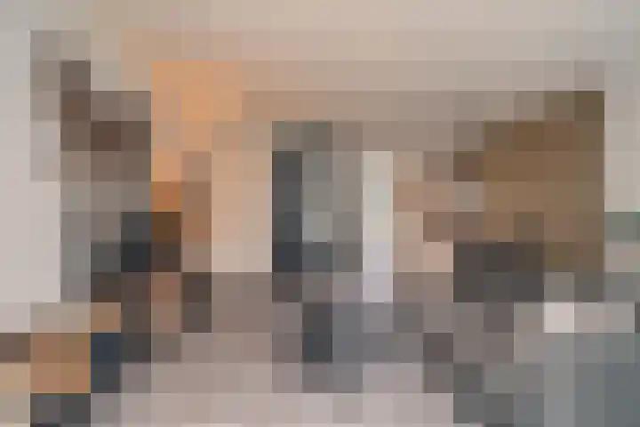 Inlaagdijk 139 Zwaag thumbnail 15