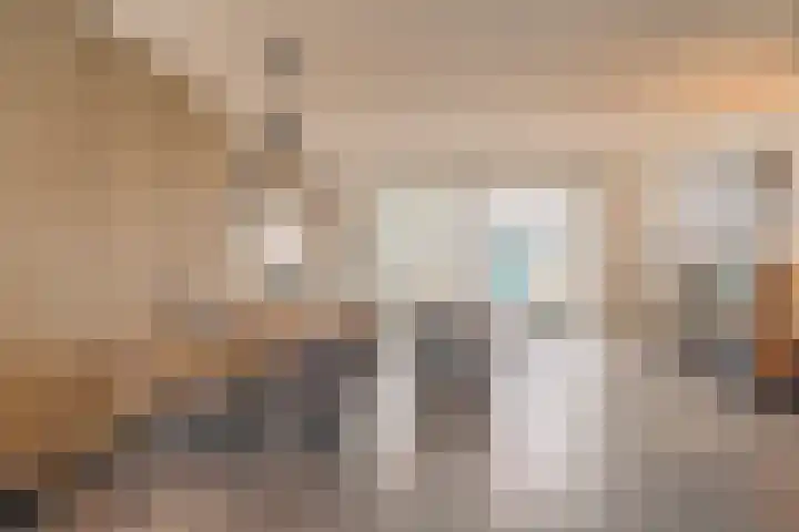 Inlaagdijk 139 Zwaag thumbnail 16