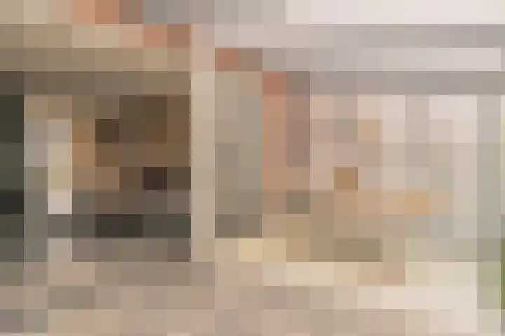 Inlaagdijk 139 Zwaag thumbnail 18