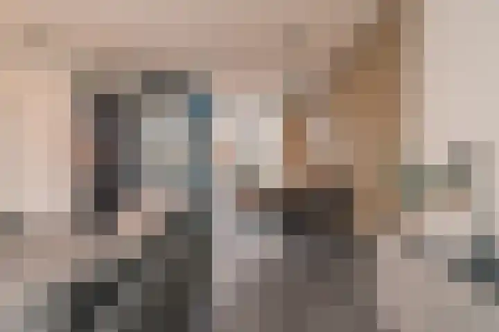 Inlaagdijk 139 Zwaag thumbnail 20