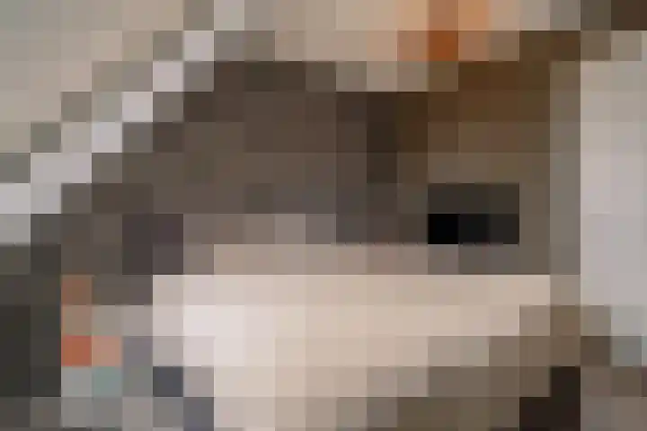 Inlaagdijk 139 Zwaag thumbnail 25