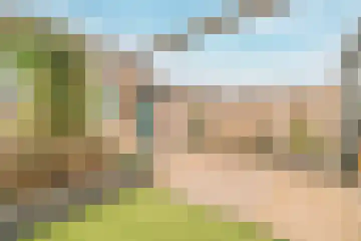 Inlaagdijk 139 Zwaag thumbnail 36
