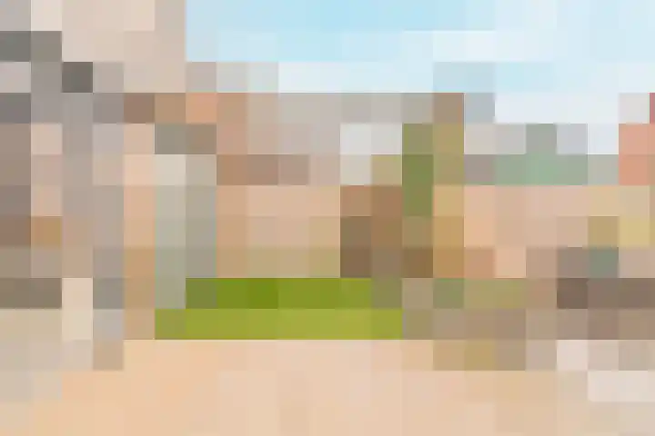 Inlaagdijk 139 Zwaag thumbnail 38