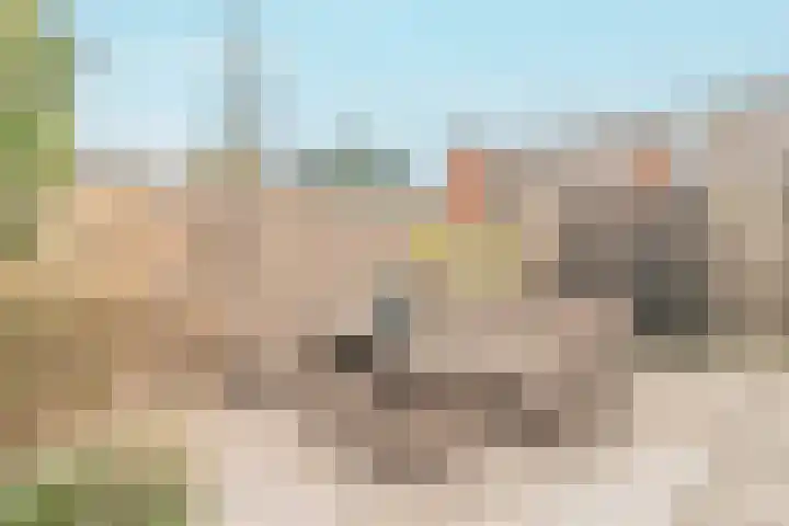 Inlaagdijk 139 Zwaag thumbnail 39