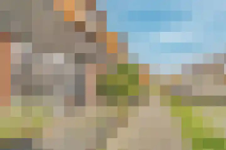 Inlaagdijk 139 Zwaag thumbnail 43