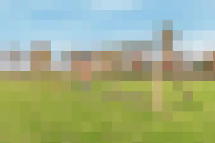 Inlaagdijk 139 Zwaag thumbnail 45