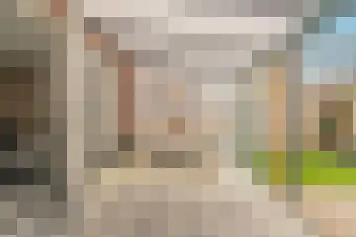 Inlaagdijk 139 Zwaag thumbnail 7