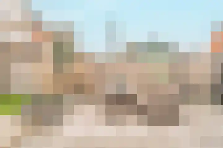 Inlaagdijk 139 Zwaag thumbnail 9