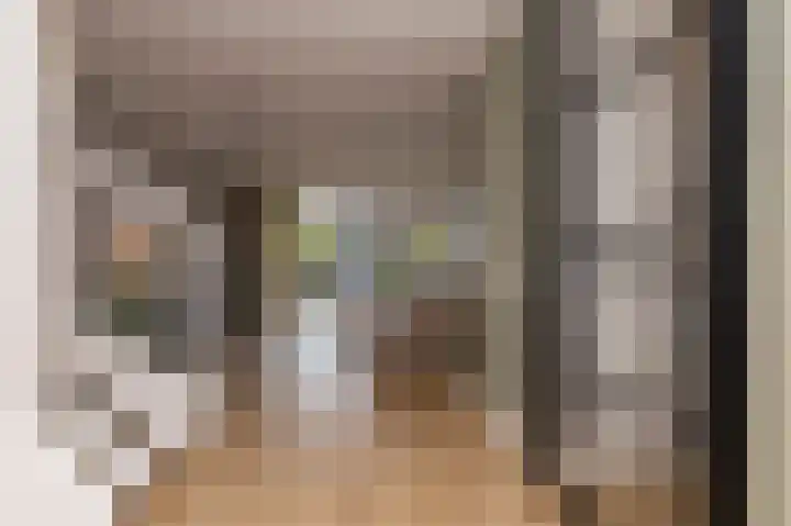 Inlaagdijk 14 Zwaag thumbnail 10