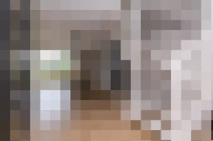 Inlaagdijk 14 Zwaag thumbnail 11