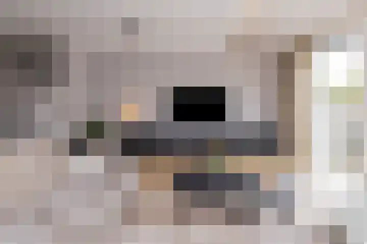 Inlaagdijk 14 Zwaag thumbnail 12