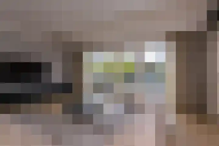 Inlaagdijk 14 Zwaag thumbnail 13