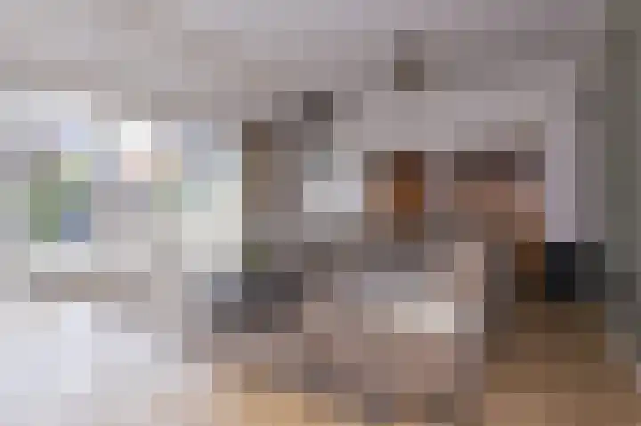Inlaagdijk 14 Zwaag thumbnail 14
