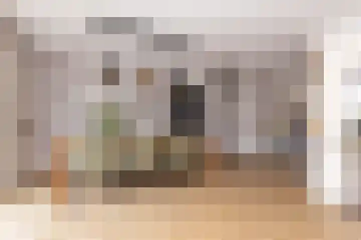 Inlaagdijk 14 Zwaag thumbnail 15