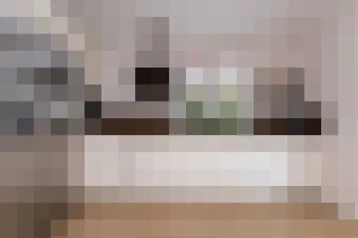 Inlaagdijk 14 Zwaag thumbnail 17