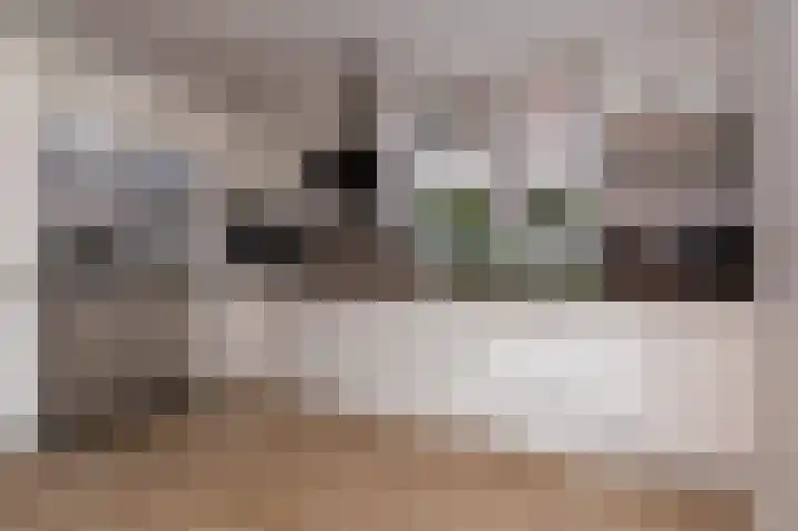 Inlaagdijk 14 Zwaag thumbnail 18