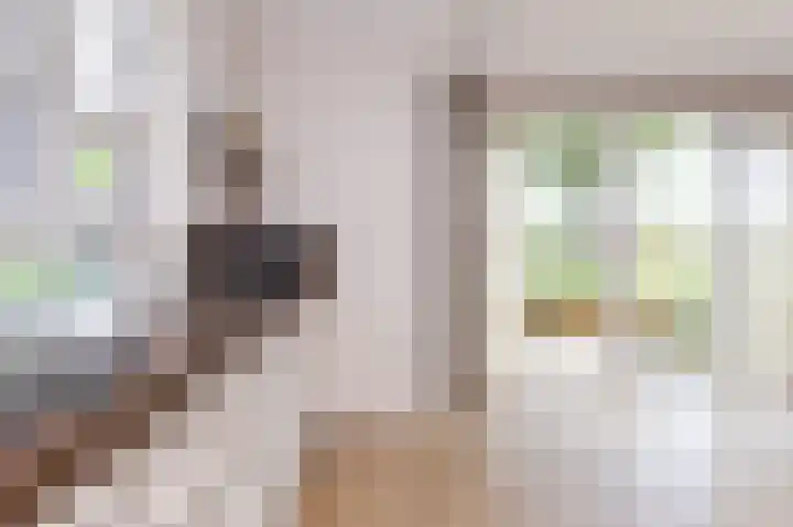 Inlaagdijk 14 Zwaag thumbnail 19