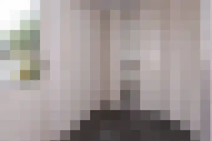Inlaagdijk 14 Zwaag thumbnail 20