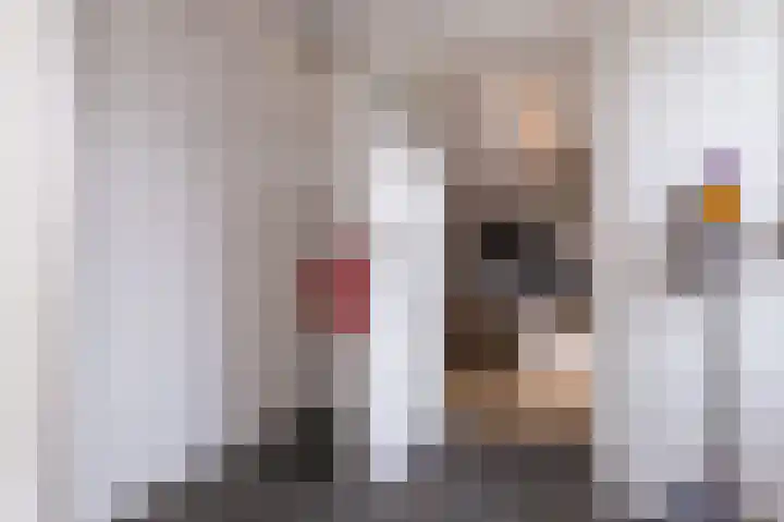 Inlaagdijk 14 Zwaag thumbnail 21