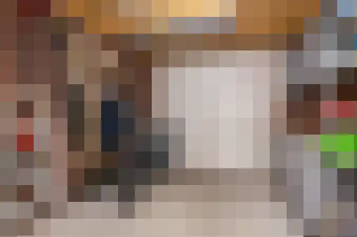Inlaagdijk 14 Zwaag thumbnail 22