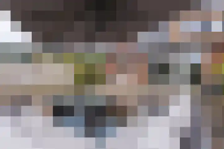 Inlaagdijk 14 Zwaag thumbnail 24