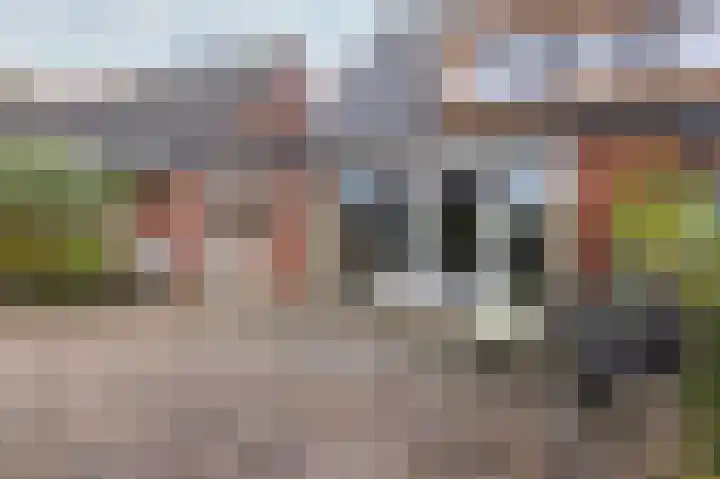 Inlaagdijk 14 Zwaag thumbnail 25