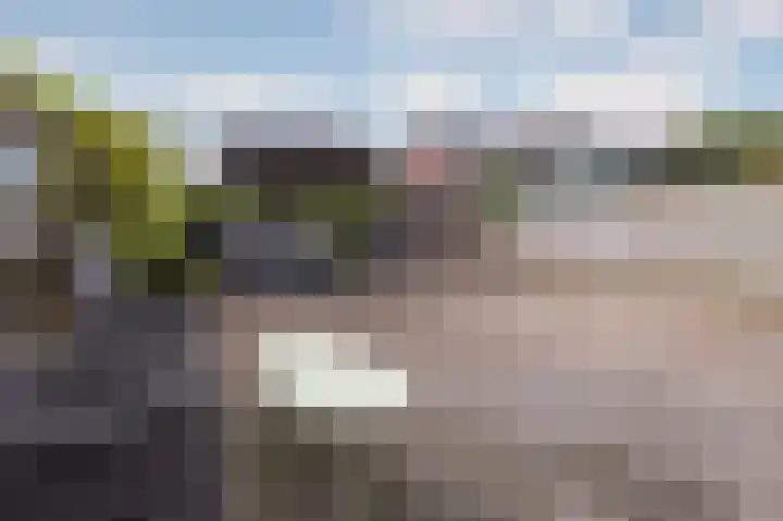 Inlaagdijk 14 Zwaag thumbnail 26