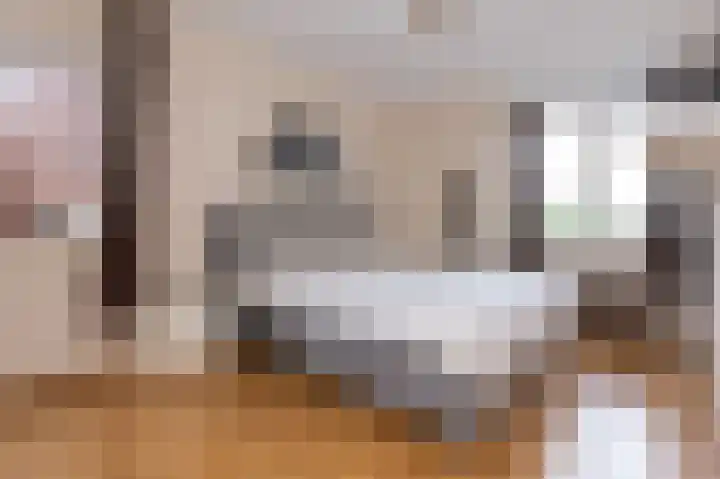 Inlaagdijk 14 Zwaag thumbnail 28