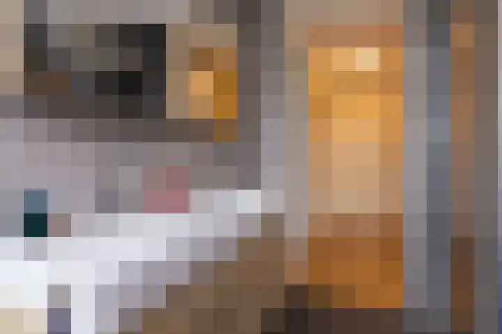 Inlaagdijk 14 Zwaag thumbnail 31