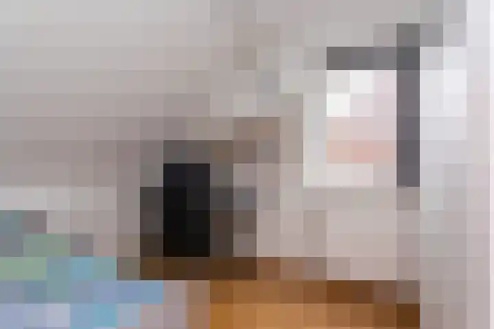 Inlaagdijk 14 Zwaag thumbnail 35