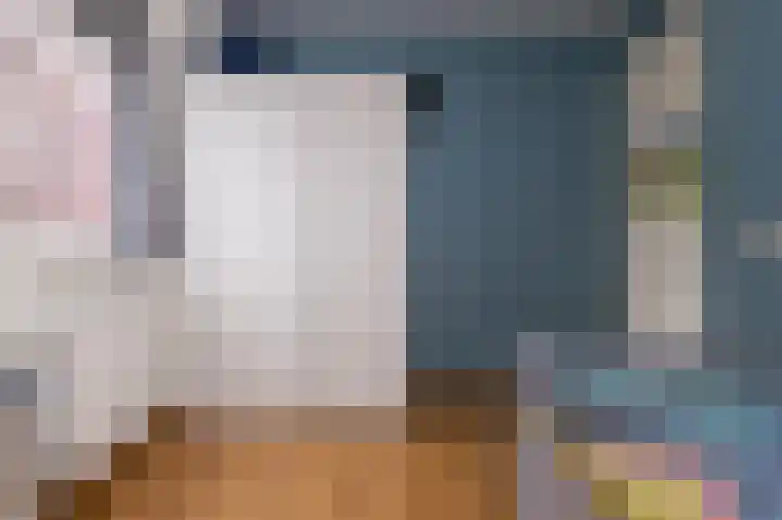 Inlaagdijk 14 Zwaag thumbnail 36