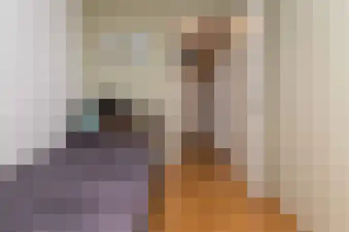 Inlaagdijk 14 Zwaag thumbnail 37