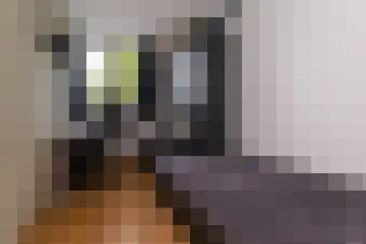 Inlaagdijk 14 Zwaag thumbnail 38