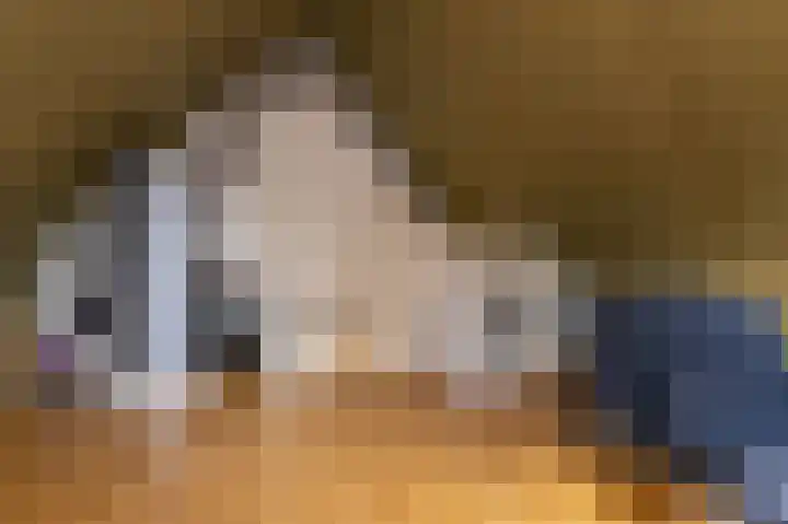 Inlaagdijk 14 Zwaag thumbnail 39