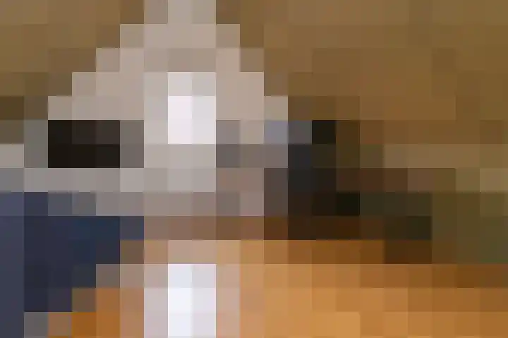 Inlaagdijk 14 Zwaag thumbnail 40