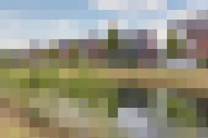 Inlaagdijk 14 Zwaag thumbnail 42