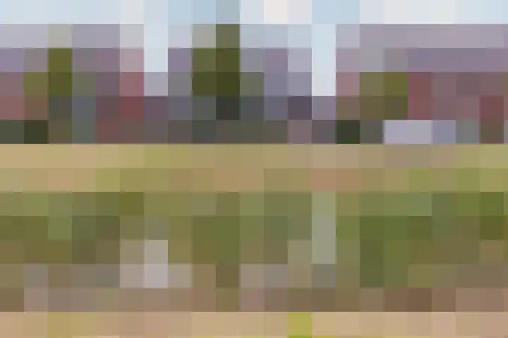 Inlaagdijk 14 Zwaag thumbnail 43