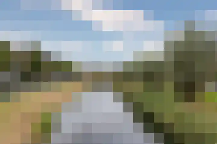Inlaagdijk 14 Zwaag thumbnail 44