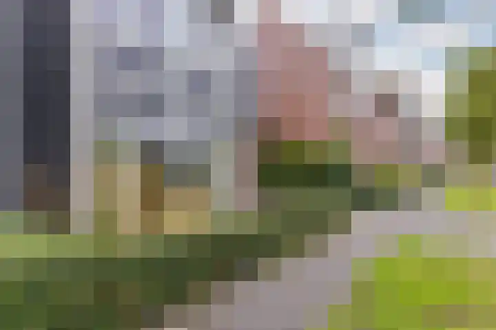 Inlaagdijk 14 Zwaag thumbnail 6