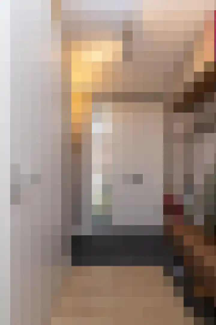 Inlaagdijk 14 Zwaag thumbnail 8
